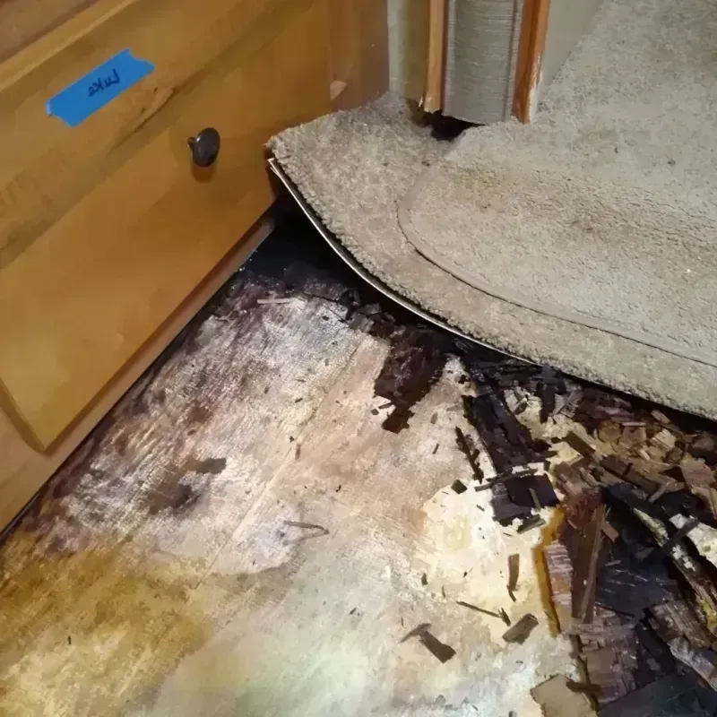 Wood Floor Water Damage in Dodge County, MN